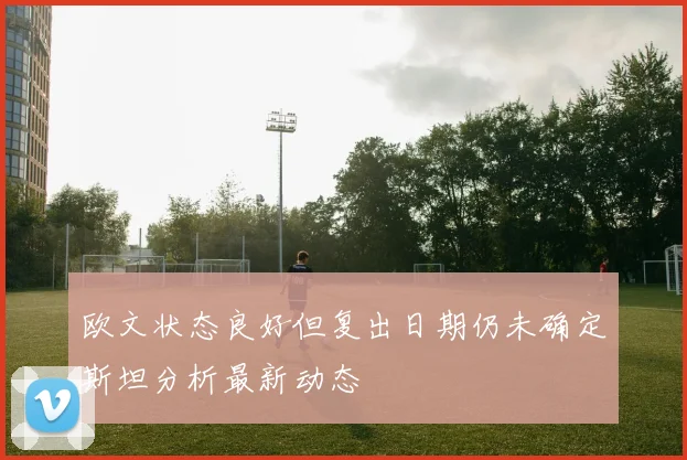 欧文状态良好但复出日期仍未确定斯坦分析最新动态