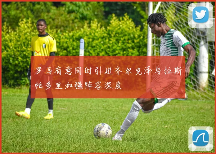 罗马有意同时引进齐尔克泽与拉斯帕多里加强阵容深度