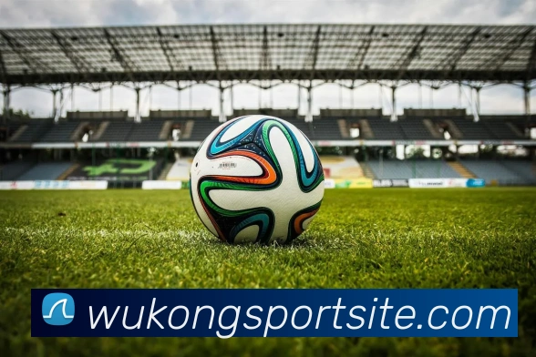 悟空体育服务体系